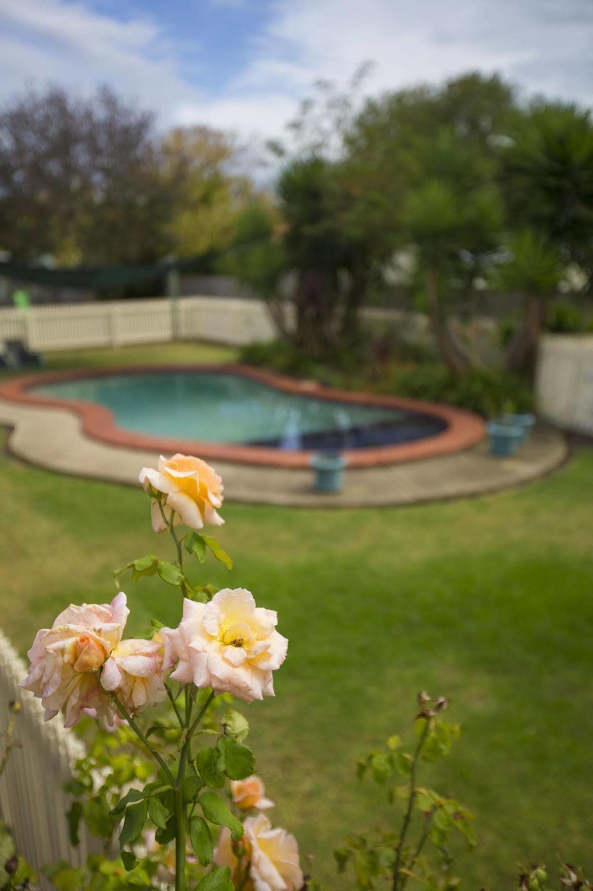Rose Garden Motel Geelong Buitenkant foto